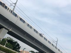 -宝安西湾红树林湿地公园