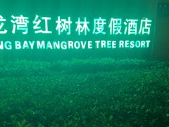 -三亚亚龙湾红树林度假酒店