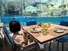 -帝企鹅自助餐厅•儿童岛•真企鹅(长隆企鹅酒店)