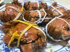 阳澄湖大闸蟹-蟹宝酒楼•农家菜(古城北路店)