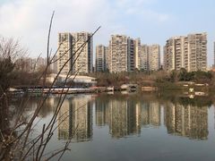 -三圣花乡旅游区