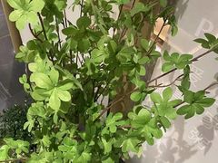 -吴家·淮扬小馆(世纪金源店)