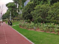 -北外滩滨江绿地