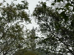 -巢湖姥山岛