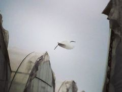 iphone_upload_pic-阿林有机农庄