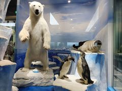 -国家自然博物馆