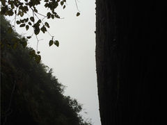 -崀山风景名胜区