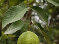 -中国移动南方基地