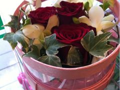 -静岸花卉园艺(三星坊店)