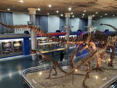 -国家自然博物馆