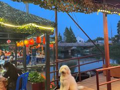 -晓琦农家菜馆·地道农家菜