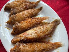 -蛇口康乐快餐鱼仔档(翠苑小区店)