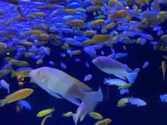 -成都浩海立方海洋公园