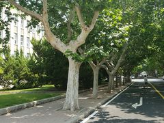 -大连理工大学(凌水校区)
