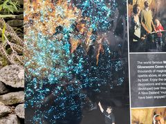 -怀托摩萤火虫洞