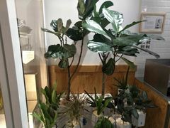 -Blueglass酸奶(财富购物中心店)
