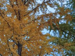 -厉家菜(金宝街店)