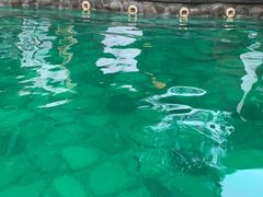 -杭州第一世界大酒店·云曼温泉