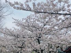 -Beans Solo豆号咖啡(百家湖花园店)