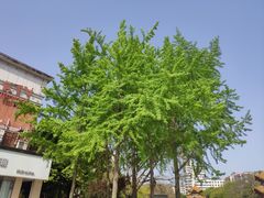 -南关石牌坊古镇