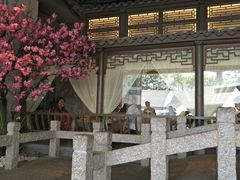 景观位-吴莊(龙城万科里店)
