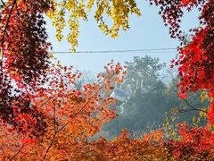 -狼山风景名胜区