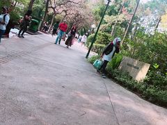 -九龙公园