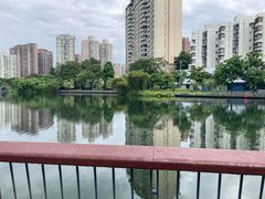 -四海公园(南山区)