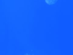 -福州罗源湾海洋世界旅游区