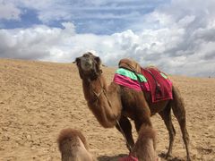 玉龙沙湖-玉龙沙湖景区