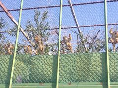 -新疆天山野生动物园