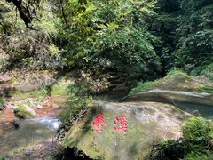-碧峰峡风景区