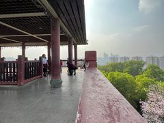 -四望岗公园