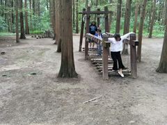 -同里国家湿地公园