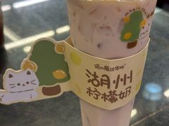 -猫的魔法密林(衣裳街店)