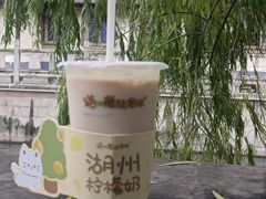 -猫的魔法密林(衣裳街店)