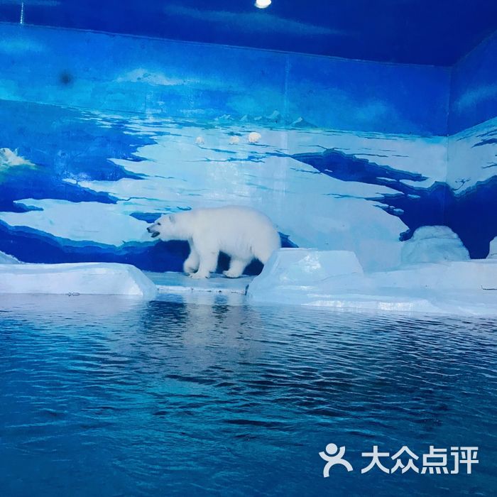 天津海昌极地海洋公园图片-北京海洋馆-大众点评网