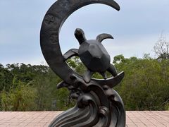 -广东惠东海龟国家级自然保护区