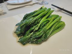 清炒菜心-泰河谷·豆捞
