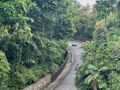 -圣淘沙天际线斜坡滑车
