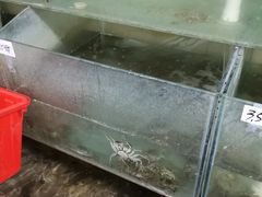 -蟹道河蟹大米商行