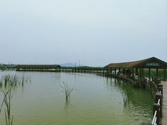 -苏州太湖湖滨国家湿地公园