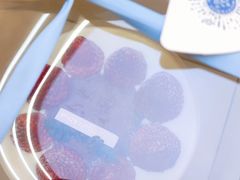 -山与蓝·轻糖鲜果蛋糕(勒泰店)