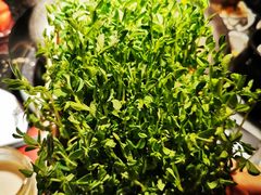 活体豌豆苗-捞王锅物料理(凯旋路店)