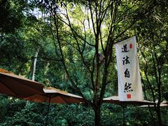 -青城山