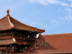 -故宫博物院(故宫)