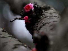 -白鹭湾湿地公园