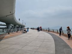 -演武大桥观景平台