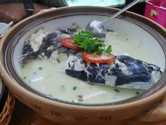 -全乐鱼馆·淳牌有机鱼直营店
