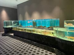-许家菜.艺创菜(仁和新城店)
